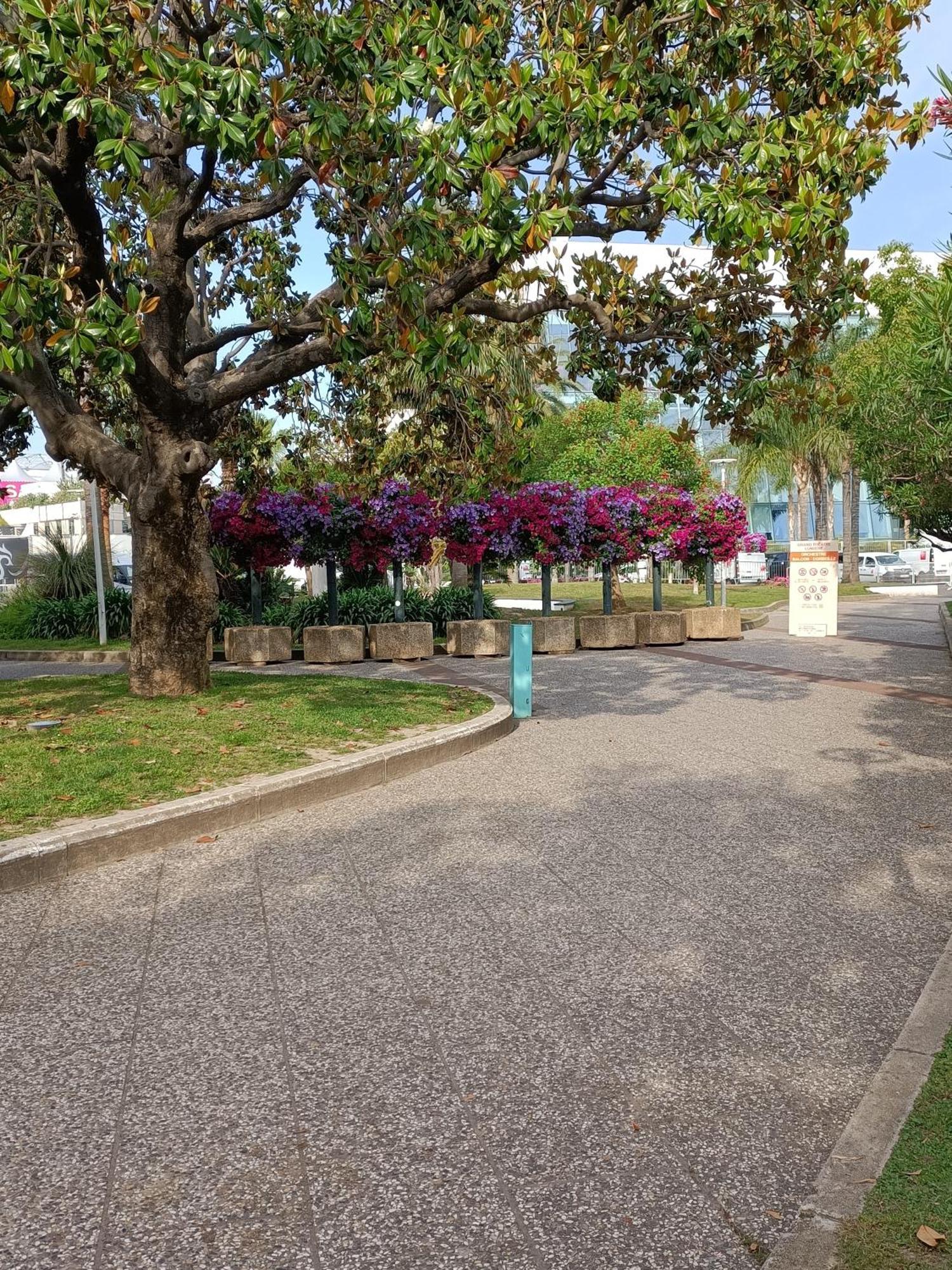Gallieni Apartment Cannes Bagian luar foto